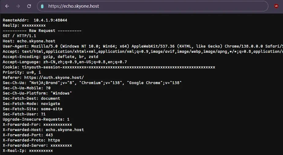 重定向到 echo 服务
